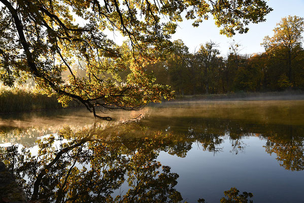 Naturfotografie - Landschaften
