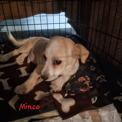 Minco