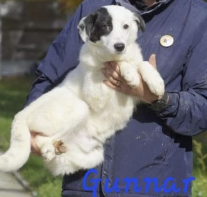 Gunnar