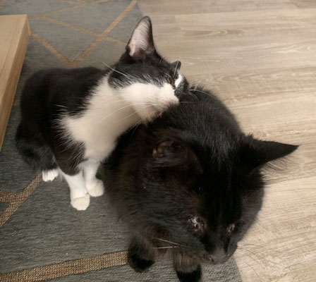 Ellie und Bobby