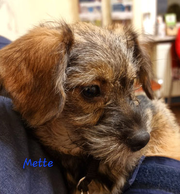 Mette