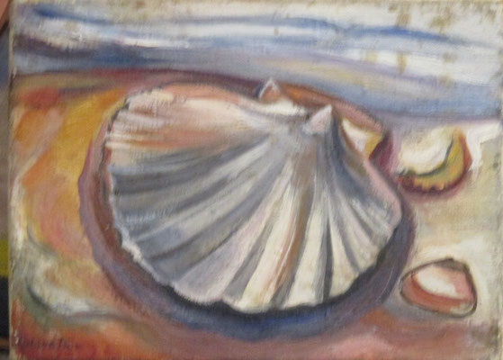 Schelp (Den Haag, 1941) olieverf, 18x24 cm