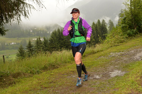 Swiss Alpine 2014
