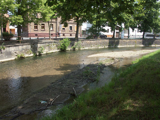 An der Kiesinsel/Böschung des Emsbaches in der Dauborner Straße  holen die Mehlschwalben das Material zum Nestbau.