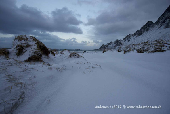 Schneebedeckter Strand bei Bleik - 1/2017 © Robert Hansen