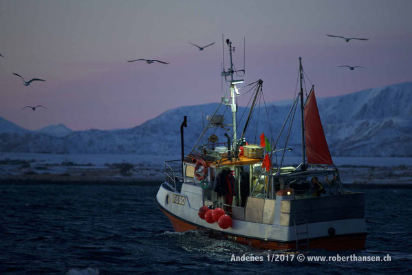 Ein Fischerboot im Andfjord - 1/2017 © Robert Hansen