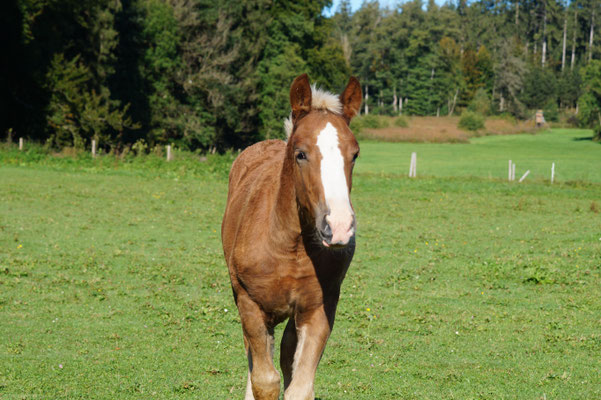 Winnetou SL, 29.09.19