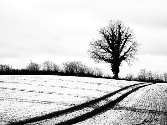 F 055 - Axel Lange - Winterlandschaft