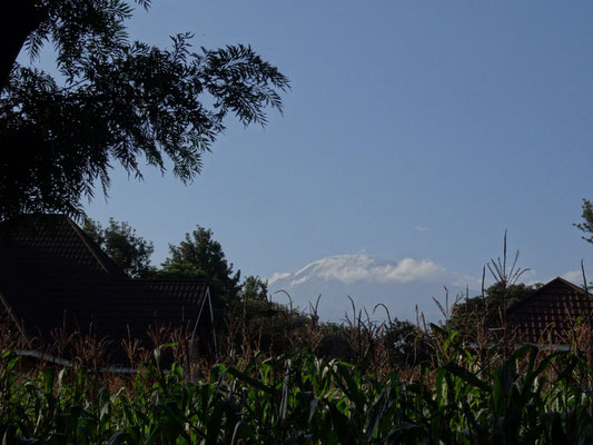 Von dort hat man einen tollen Blick auf dem Kilimandscharo, wenn der Gipfel wolkenfrei ist.
