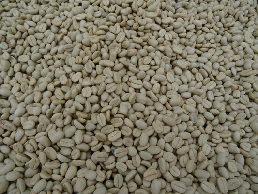 Rohkaffee, das Endprodukt.
