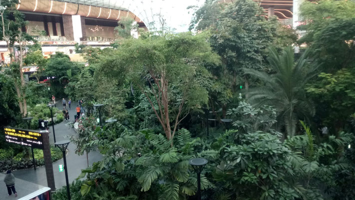 Indoor-Garten im Flughafen Doha. 