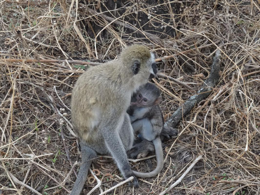 Mama und säugendes Kind.