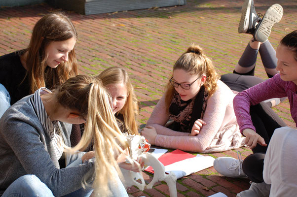 Anatomie Outdoorunterricht an der Prof. Grewe Schule