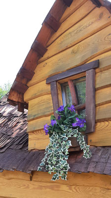 Cabane des Lutins– Domaine du Châtelet Vosges