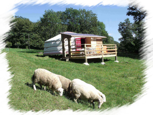 Yourte mongole et nature vosgienne