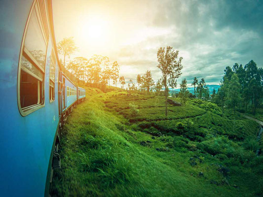 Pacchetto Vacanza in Sri Lanka. Viaggio in treno per Ella