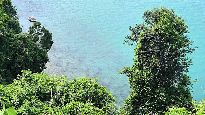 Scorcio sul Mar Nero dal Giardino Botanico di Batumi (photo by Gabriele Ferrando - LA MIA ASIA)