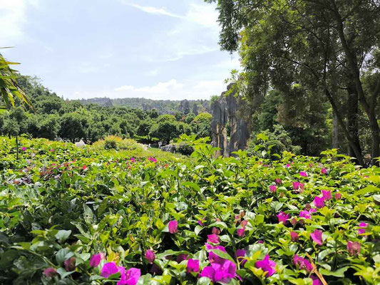 La Stone Forest di Kunming (photo by Gabriele Ferrando - LA MIA ASIA)
