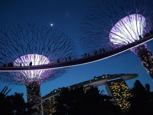 Singapore - Gardens by The Bay (Photo by Gabriele Ferrando - LA MIA ASIA)