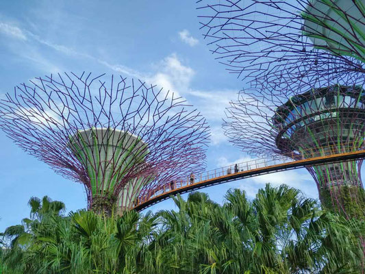 Singapore - Gardens by The Bay (Photo by Gabriele Ferrando - LA MIA ASIA)