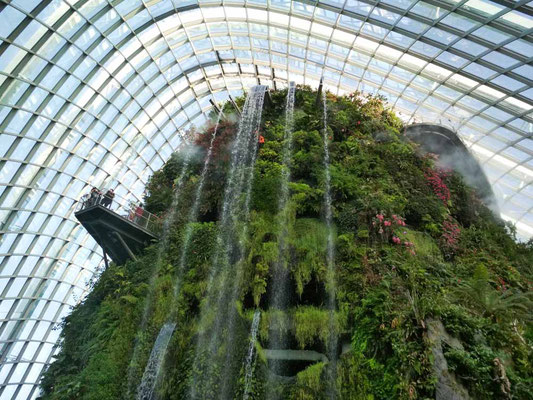 La cascata della Cloud Forest a Singapore (Photo by Gabriele Ferrando - LA MIA ASIA)