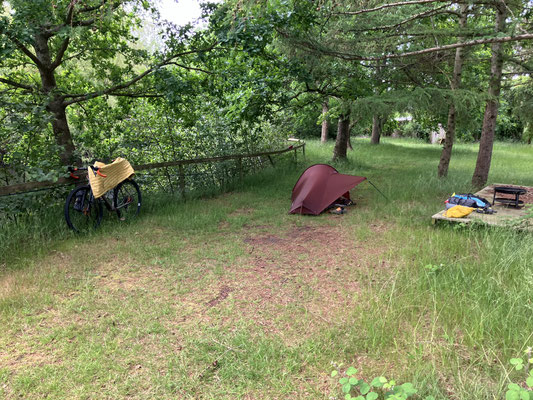 Bikepacking-Zelt und Gravelbike auf ruhigem Naturcampingplatz in Dänemark