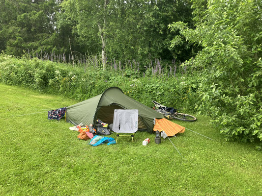 Wildcamping-Zelt mit Bikepacking-Ausrüstung auf Wiese am Waldrand