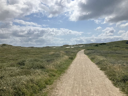Gravelweg durch Dünenlandschaft bei Hvide Sande in Dänemark beim Bikepacking
