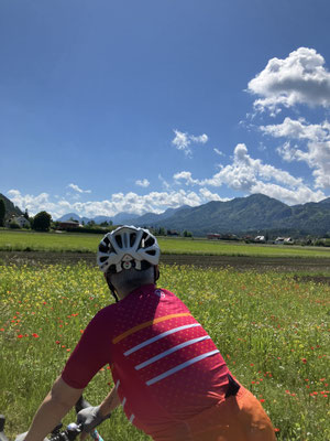 Radfahrer auf Bikepacking-Tour durch blühende Wiesen bei Kirchbach in Österreich mit Alpenpanorama
