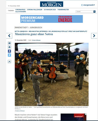 Mannheimer Morgen über Meloakustika 13.11.2020