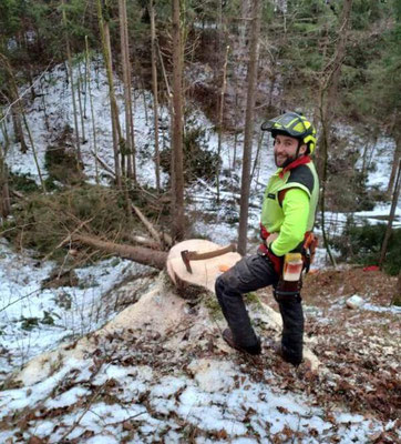 Forstdienstleistungen Baumpflege Moritz Kubin