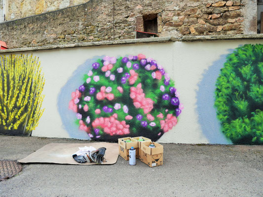 fresque, graffiti, décor (arbustes, fleur, haie) à Semur-en-auxois, Coron Thibaud