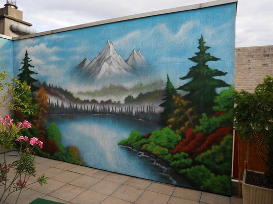 fresque murale déco (paysage, lac, montagne, nature) à Dijon , Coron Thibaud