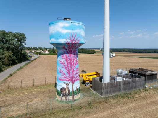 photo d'une fresque street art par Coron sur château d'eau 