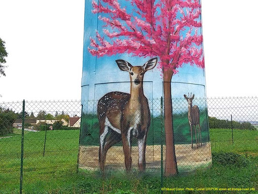 photo d'une fresque murale sur château d'eau par Coron Thibaud