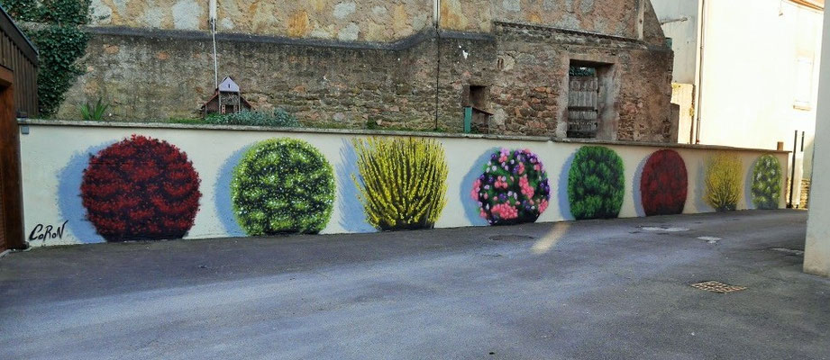 graffiti arbustes à Semur-en-Auxois, Thibaud Coron