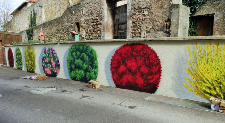 street art (fleur, arbuste) à Semur-en-Auxois par l'artiste peintre Coron Thibaud