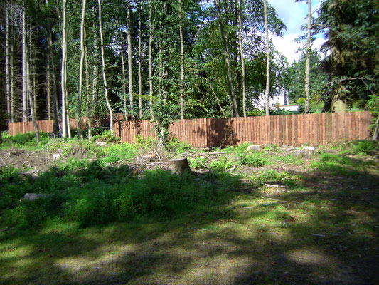 Completed palisade fencing enclosing a cleared woodland area.