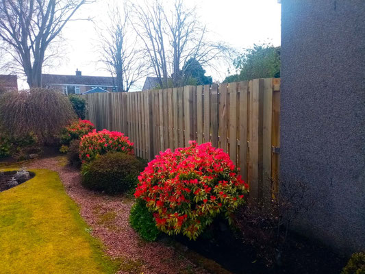 Double-sided vertical board fence in a back garden in Aberdeen – professional garden fencing installation