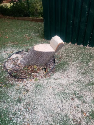 Tree stump creatively carved into a garden seat – unique landscaping and outdoor furniture feature