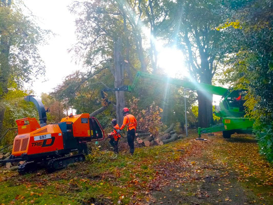 Landscape gardeners in Aberdeen operating tree shredder with crane, sunlight through trees – professional garden maintenance service.