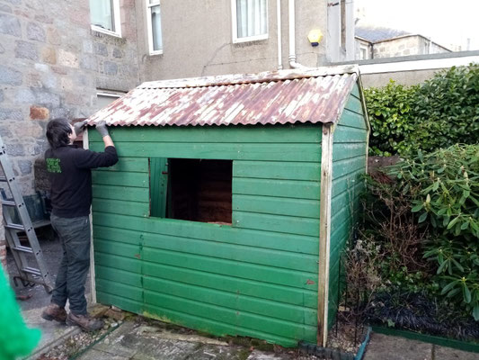 Workman inspecting or working on the roof of a garden shed – professional outdoor construction and maintenance