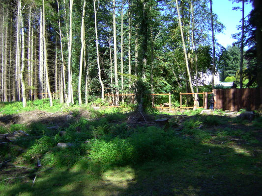 Palisade fencing under construction on a newly cleared woodland site.