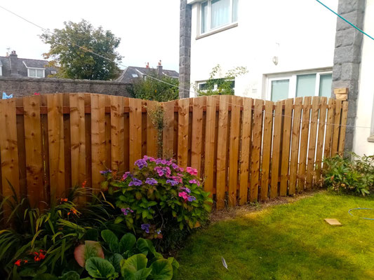 Curved-top vertical board fence between two semi-detached houses – professional garden fencing installation