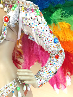 サンバ衣装、羽！！！ Amazon.co.jp: [エアーズCOS] サンバ 衣装 羽 コスプレ ダンス