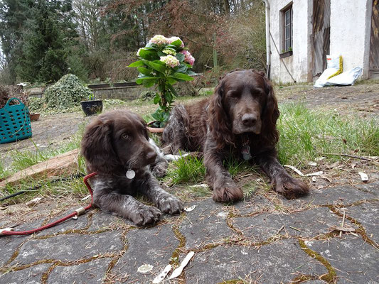 Papa Dax mit Halbbruder Ted