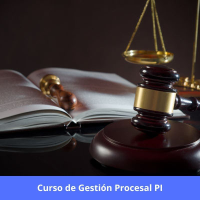 curso de gestión procesal PI