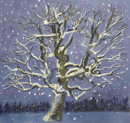 wintertree laden with snow blue background