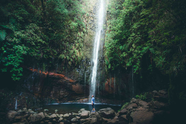 work and travel madeira