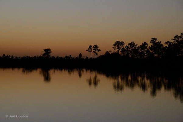 Abendliche Spiegelung in den Everglades, Florida